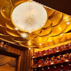 Meet your Posher, Silvi.